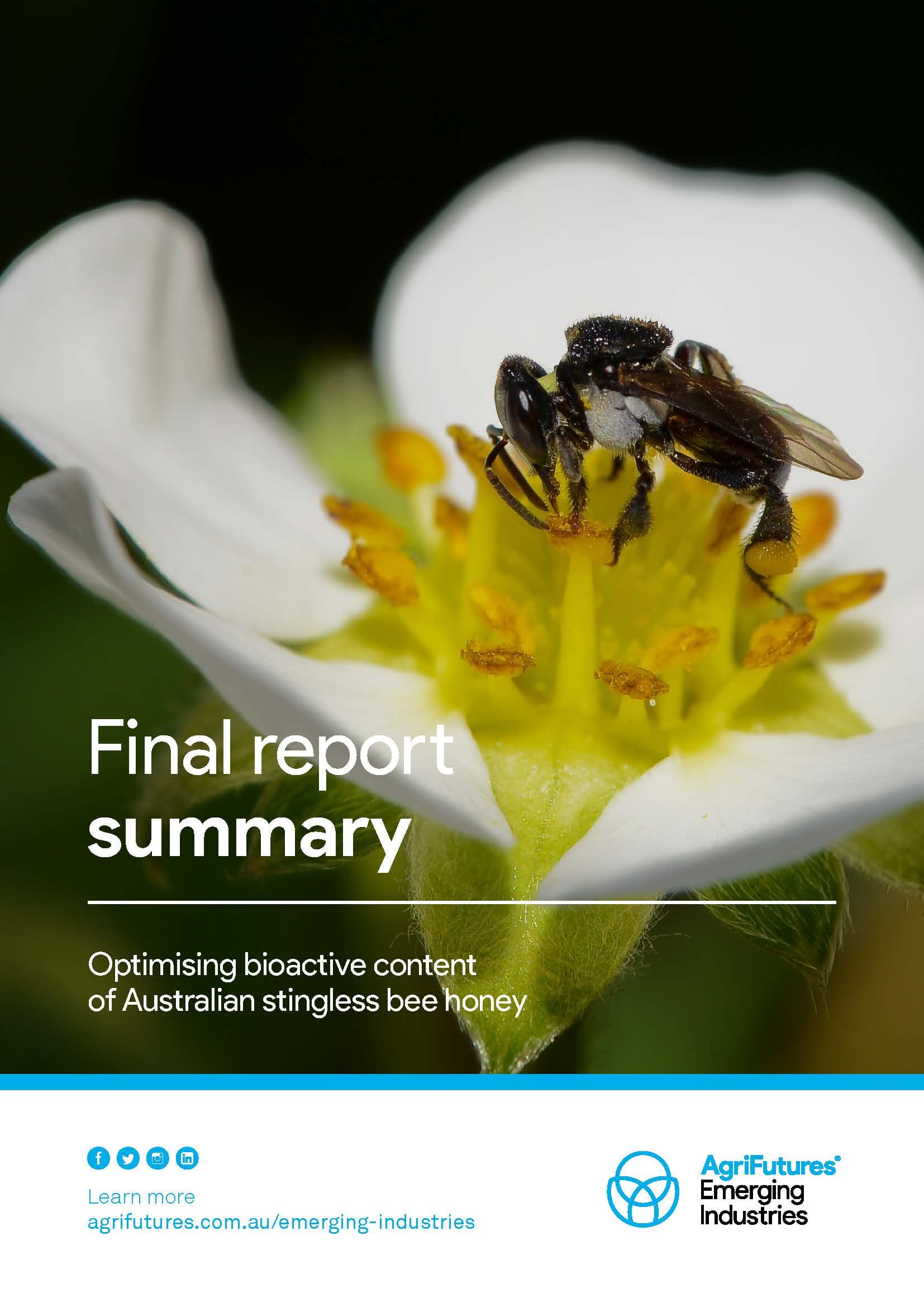 Final report summary: Optimising bioactive content in stingless bee honey - image