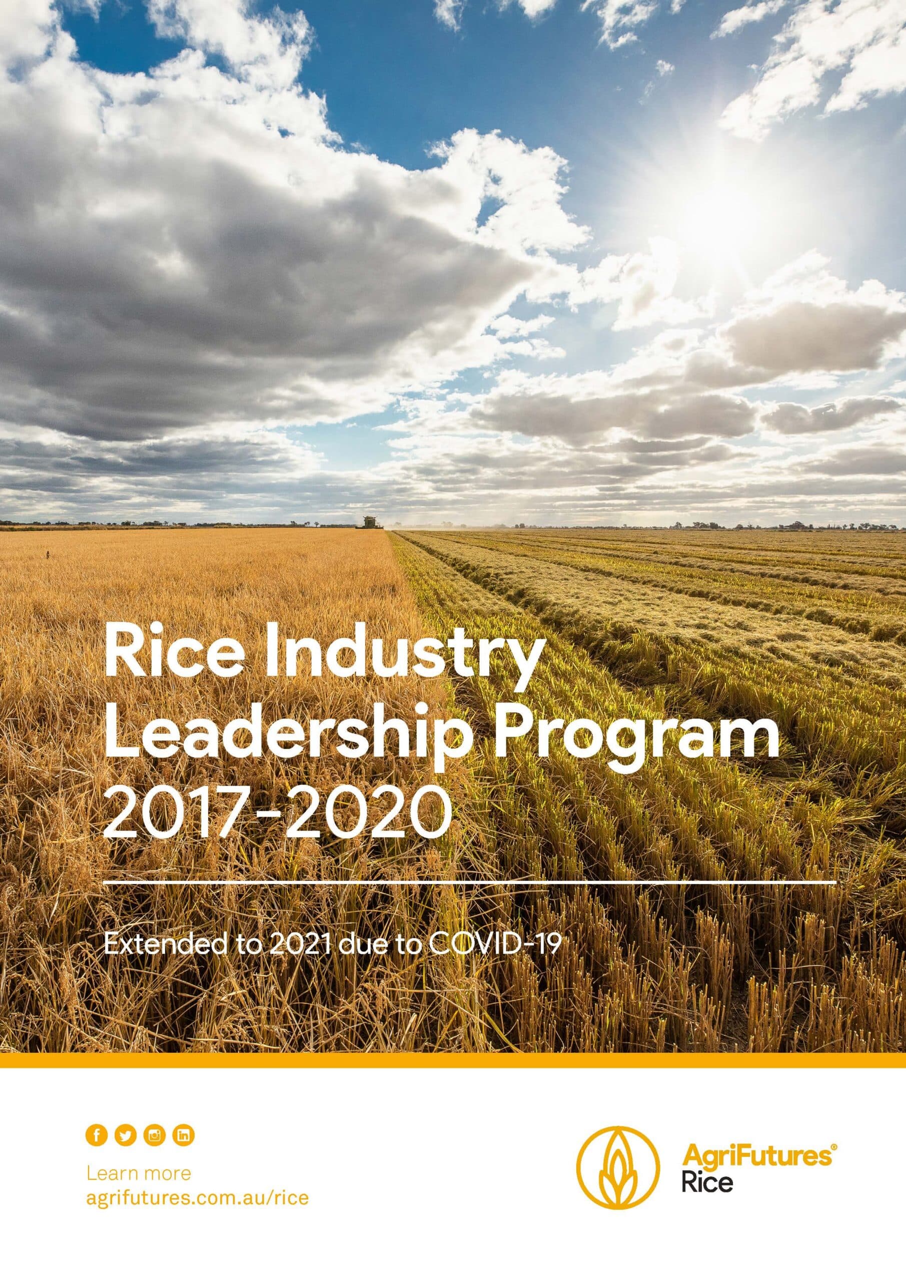 Project summary: Rice Industry Leadership Program 2017-2020 - image