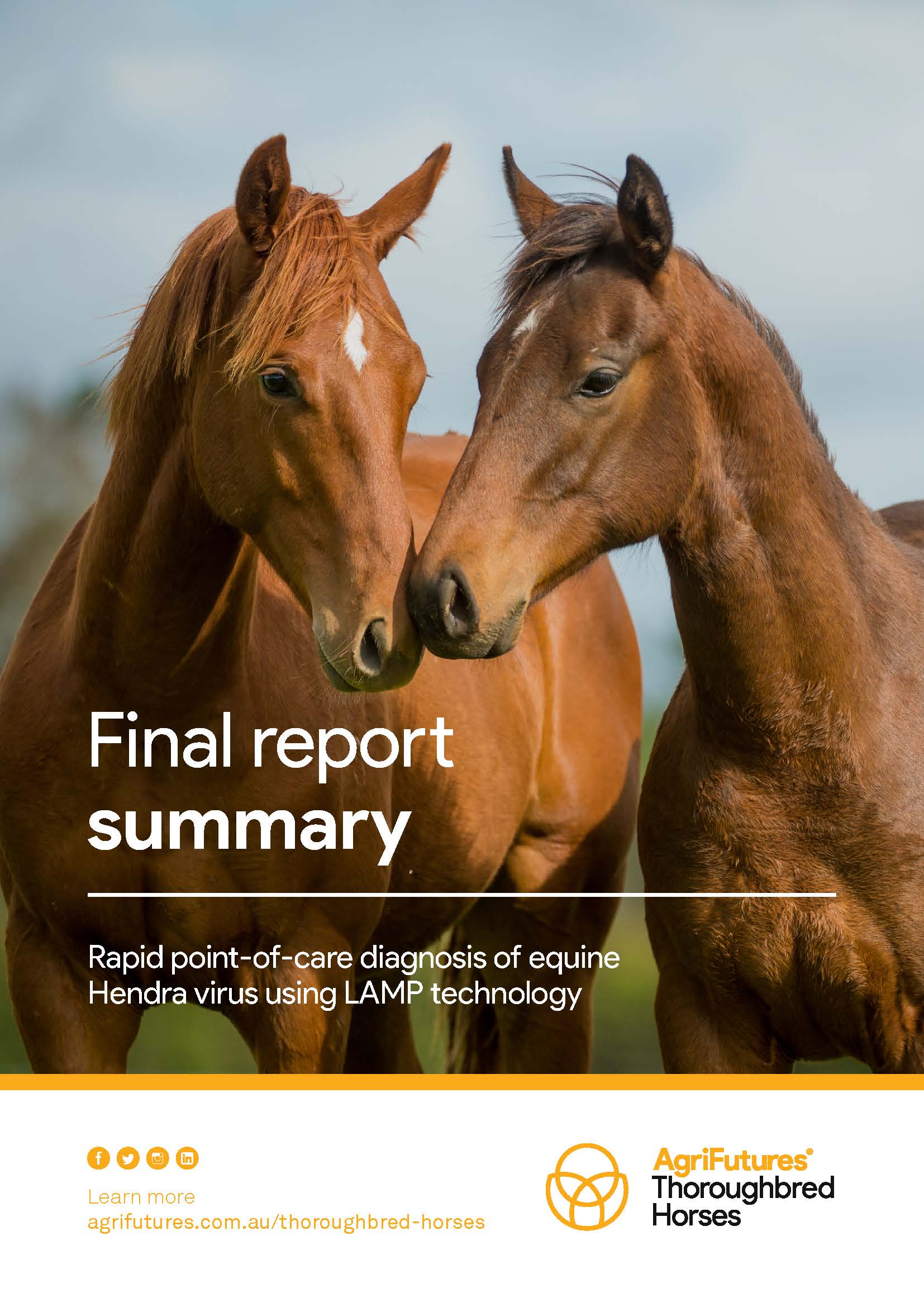 Final report summary: Rapid point-of-care diagnosis of equine Hendra virus using LAMP technology - image