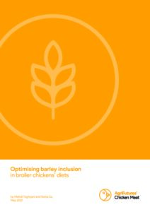 Optimising barley inclusion in broiler chickens' diets - image