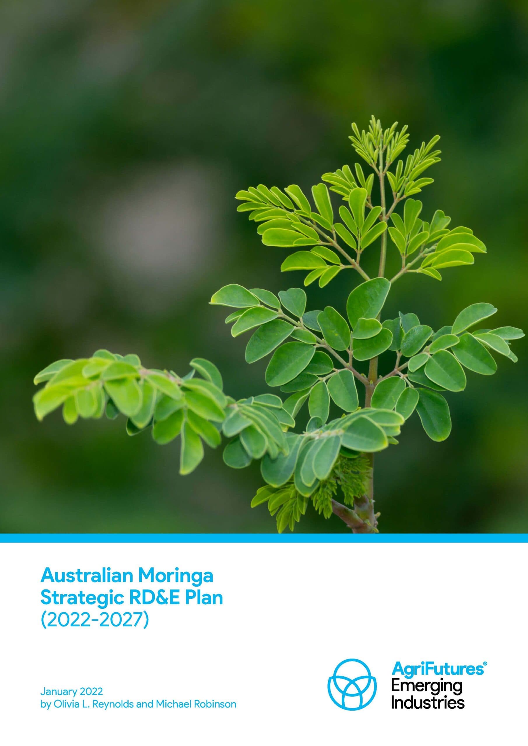 Australian Moringa Strategic RD&E Plan - image