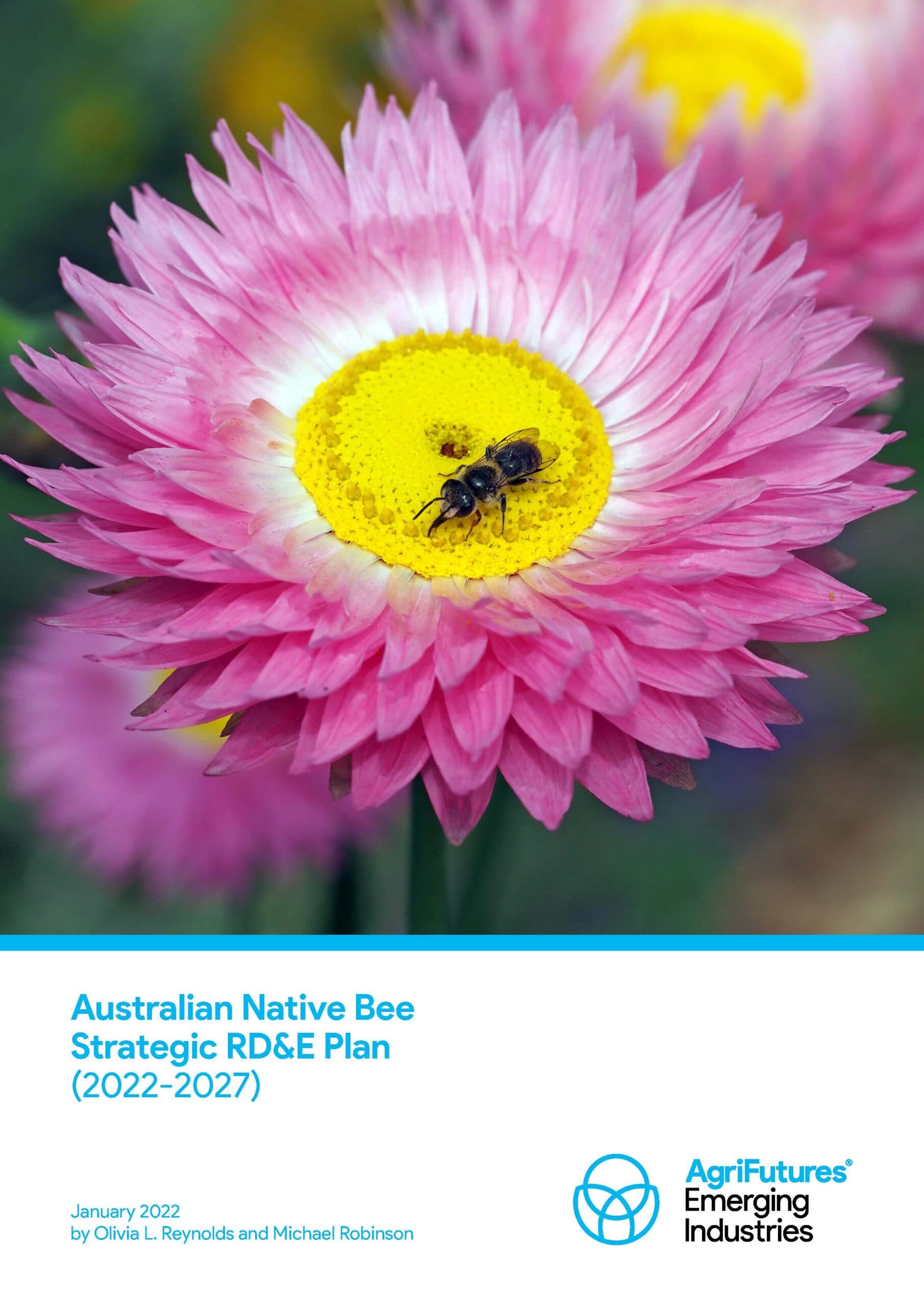 Australian Native Bee Strategic RD&E Plan - image