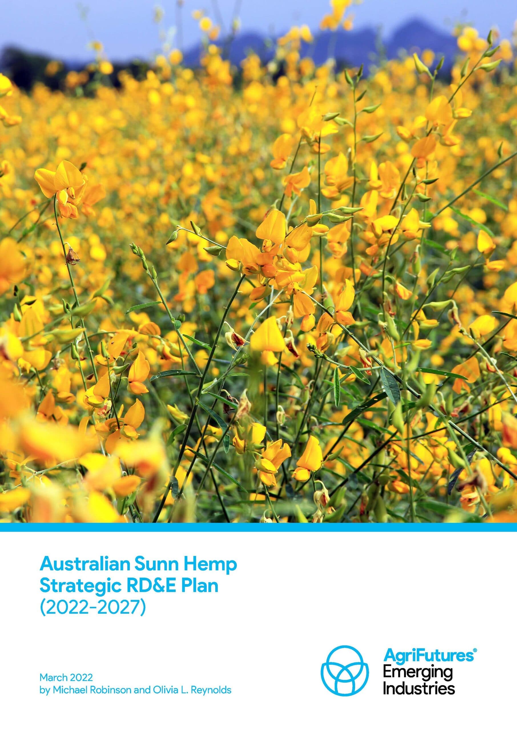 Australian Sunn Hemp Strategic RD&E Plan (2022-2027) - image