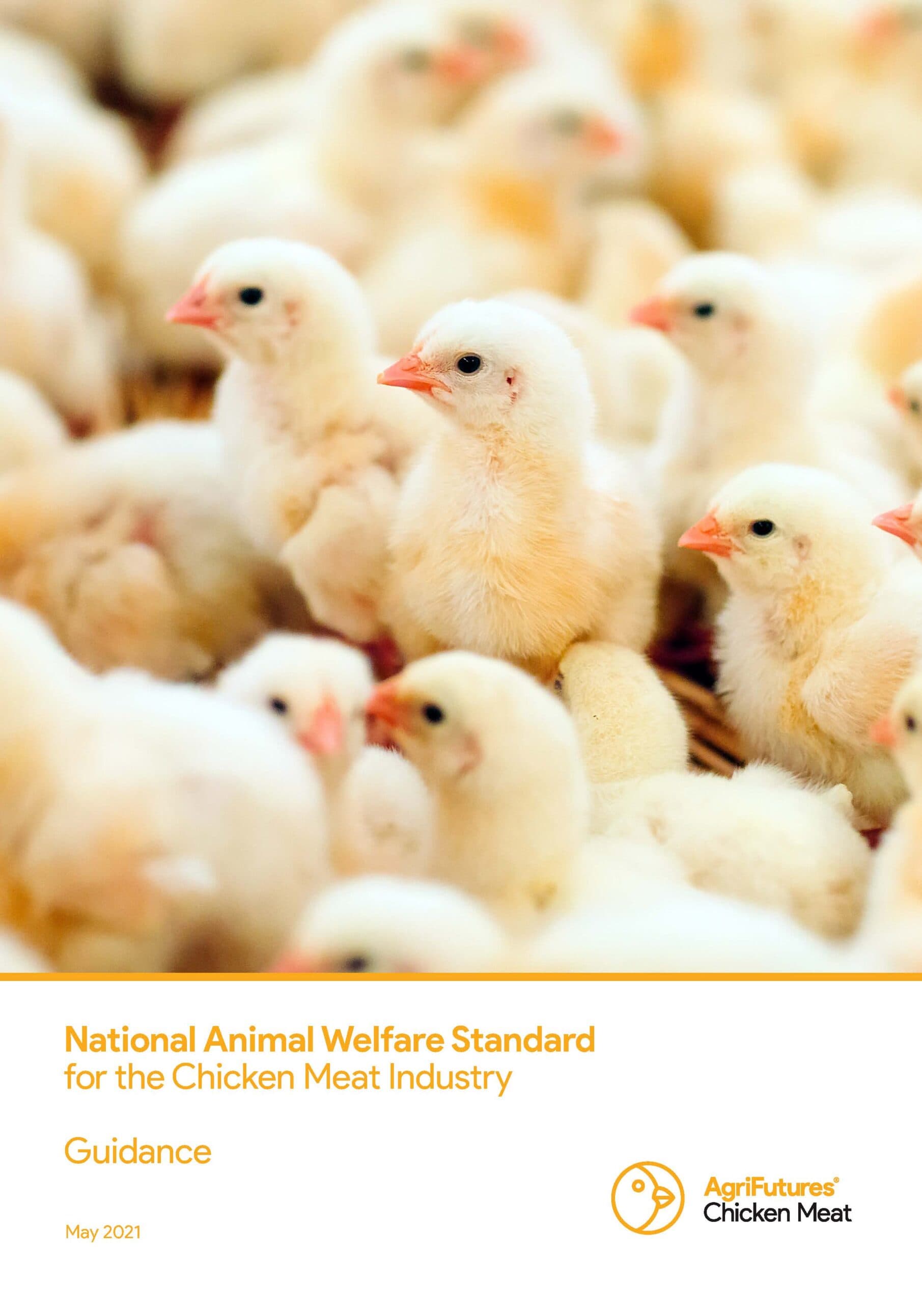National Animal Welfare Standard for the Chicken Meat Industry - Guidance material - image