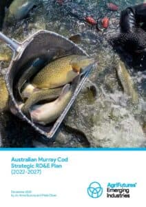 Australian Murray Cod Strategic RD&E Plan (2022-2027) - image