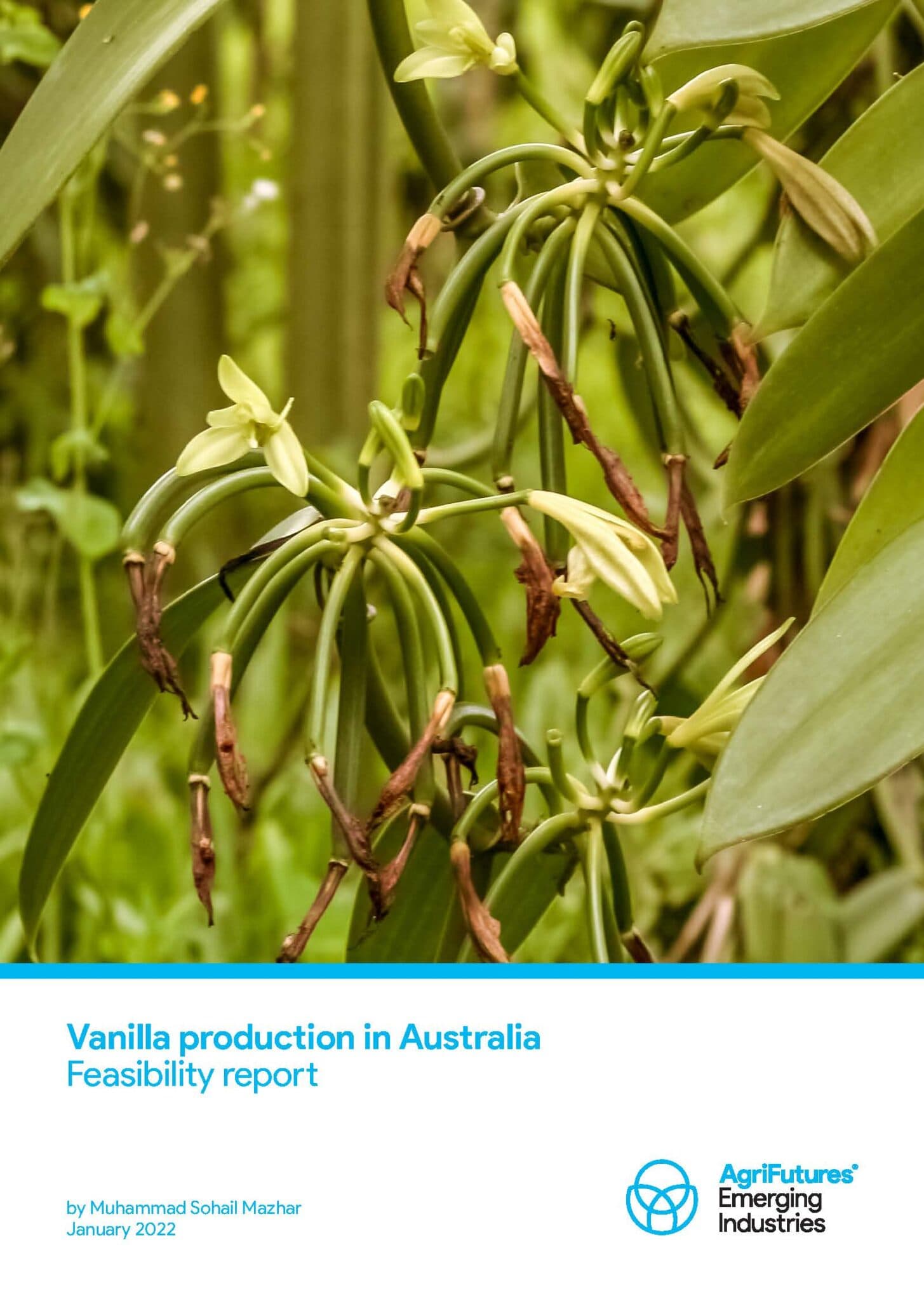 Vanilla production in Australia Feasibility report AgriFutures Australia