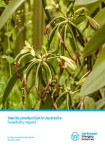 Vanilla production in Australia: Feasibility report - image