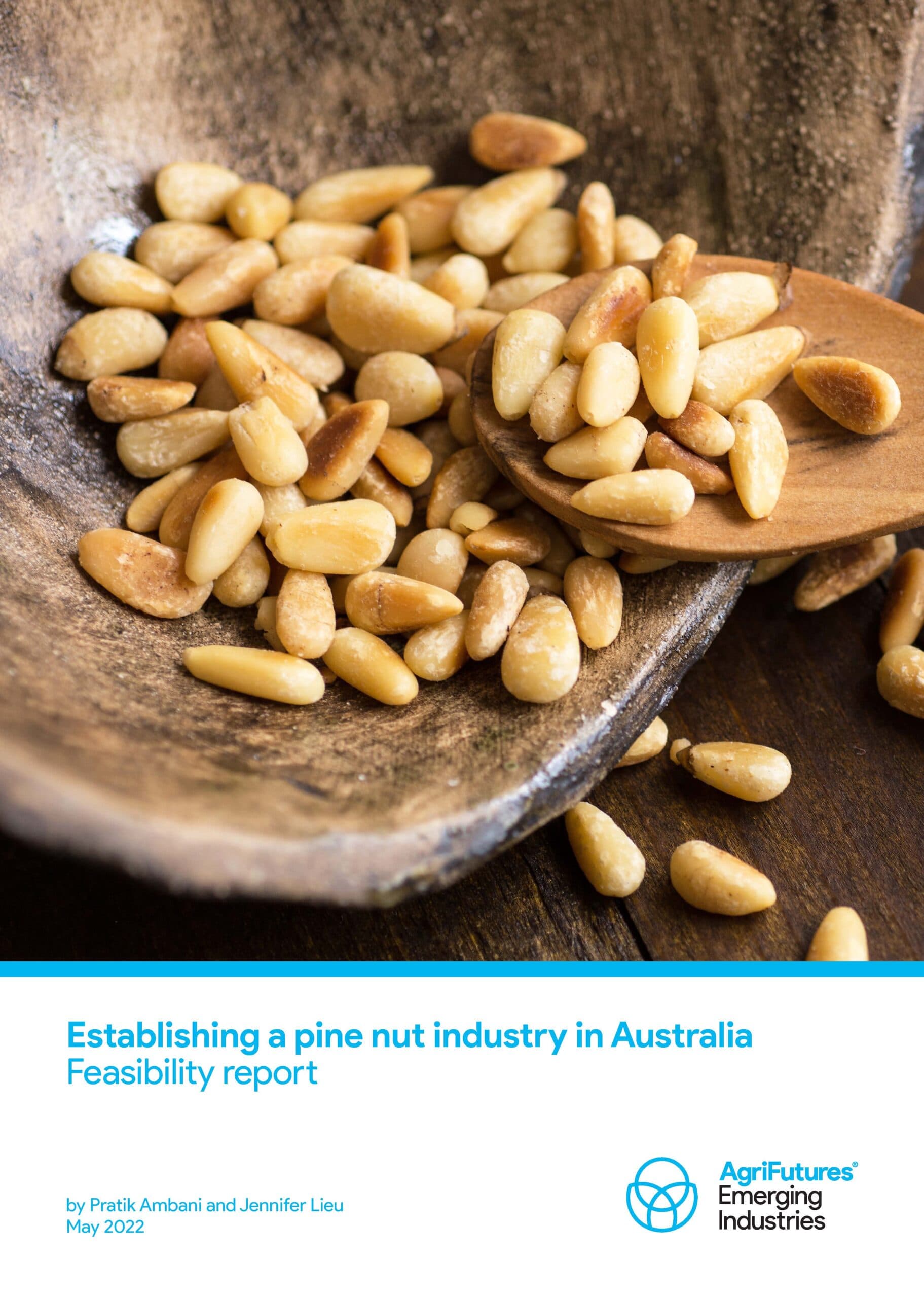 Establishing a pine nut industry in Australia: Feasibility report - image