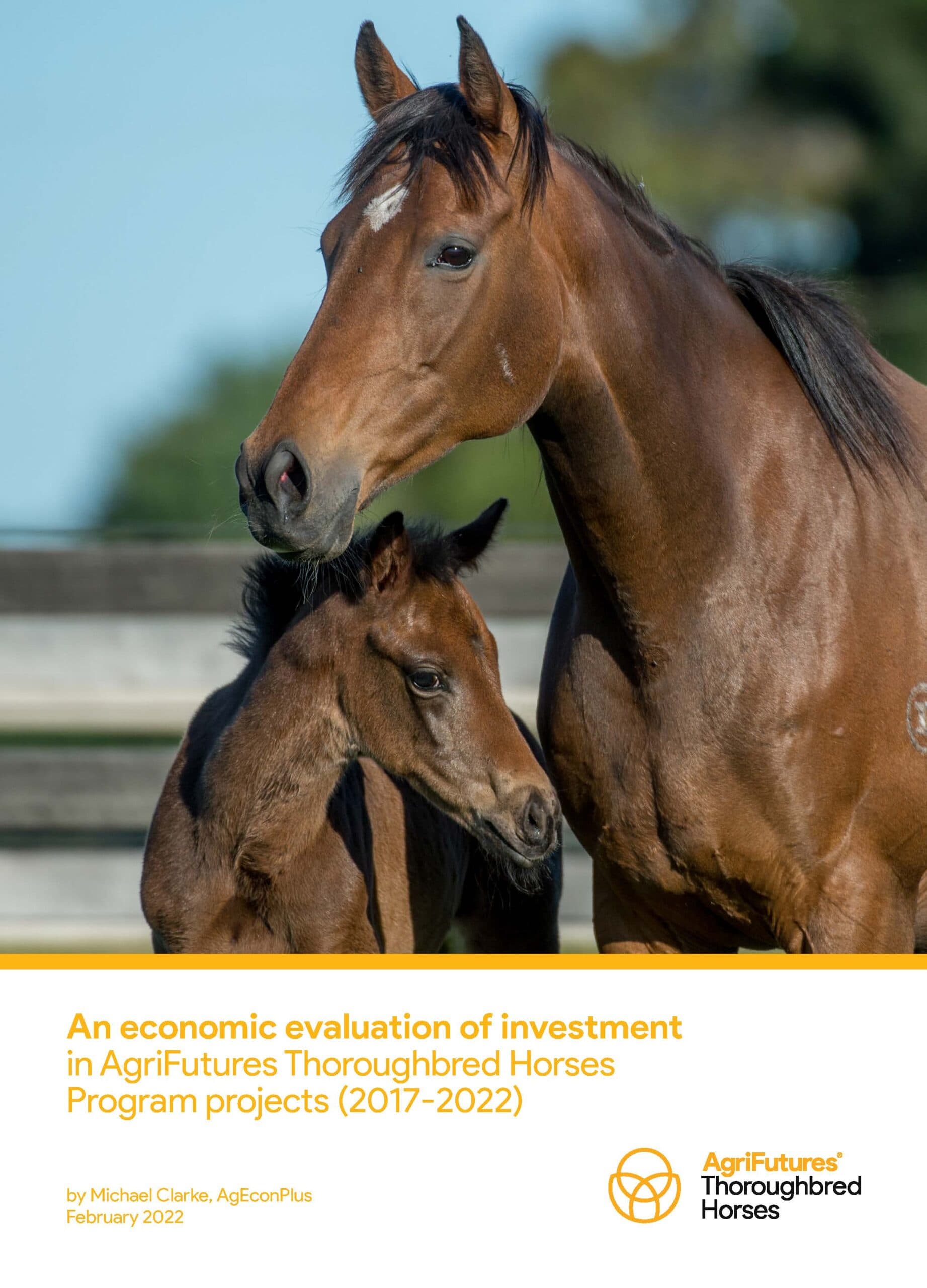 An economic evaluation of investment in AgriFutures Thoroughbred Horses Program projects (2017-2022) - image
