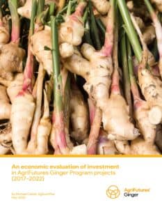 An economic evaluation of investment in AgriFutures Ginger Program projects (2017-2022) - image