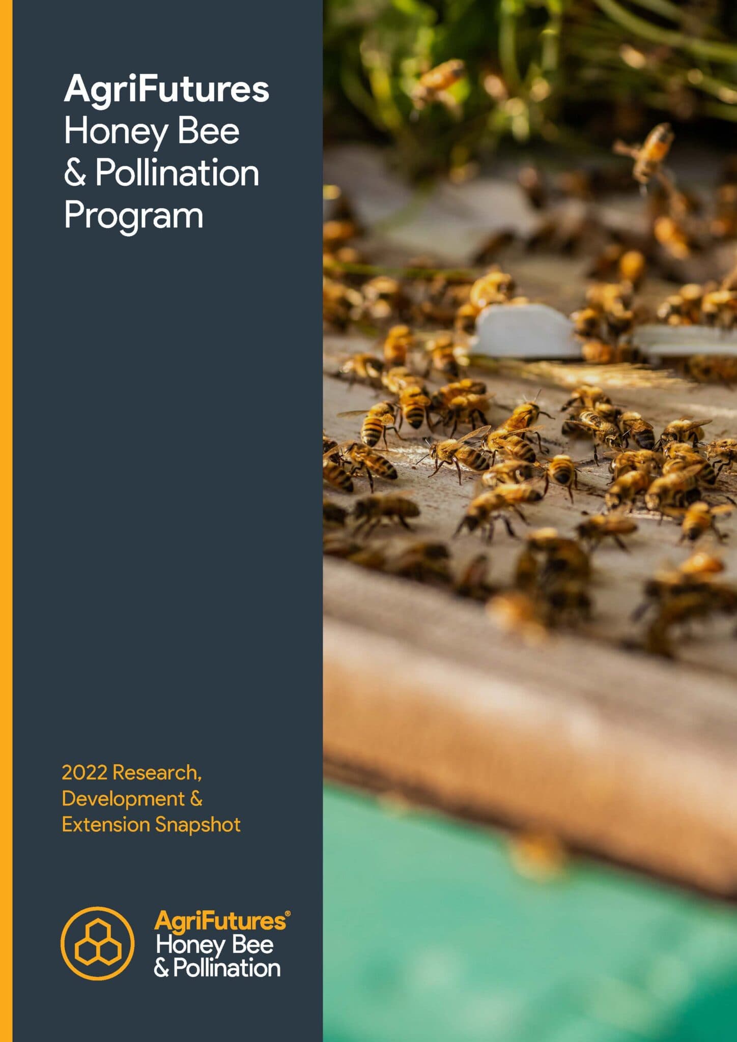 Agrifutures Honey Bee And Pollination Program 2022 Rdande Snapshot Agrifutures Australia