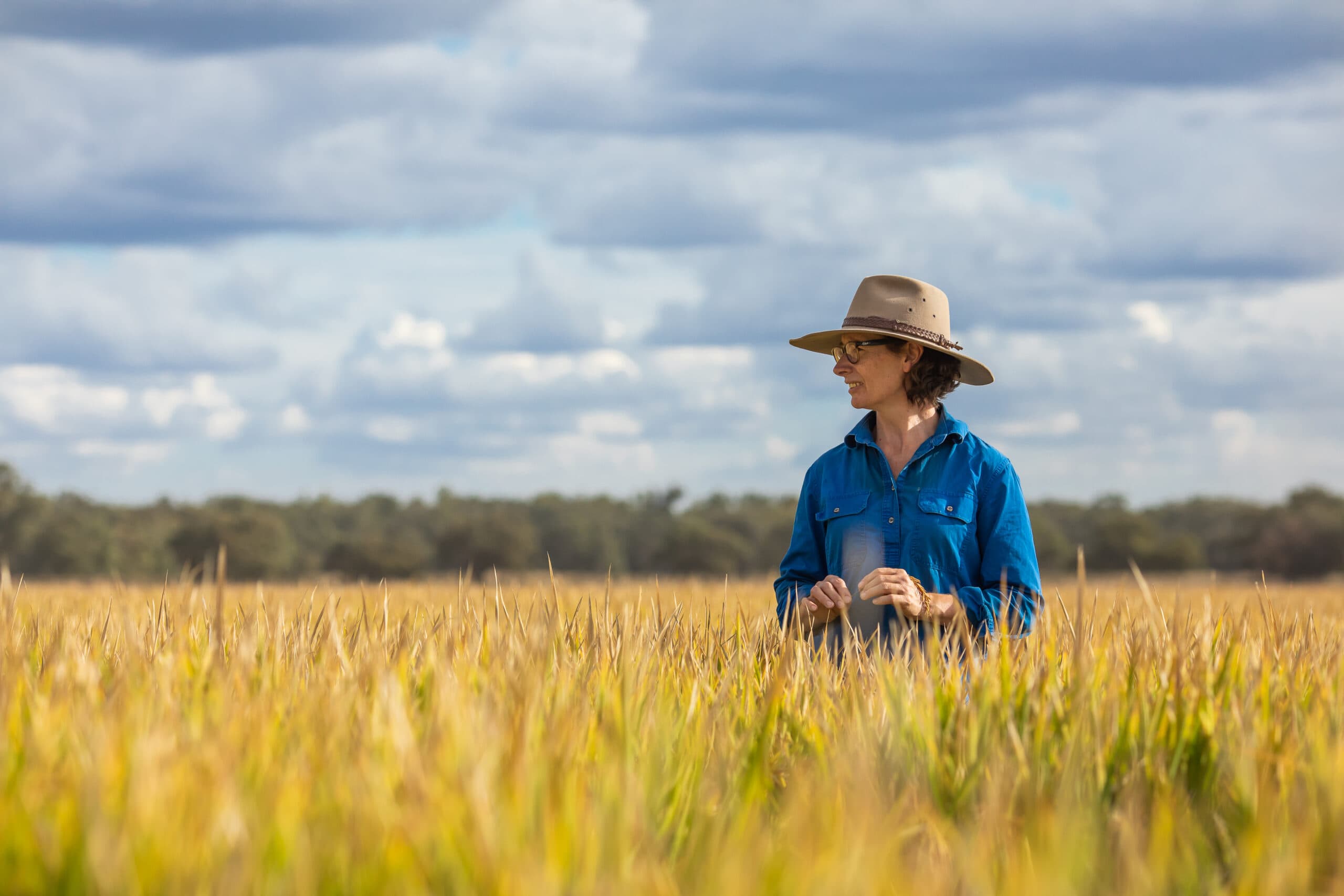 Woman in rice field