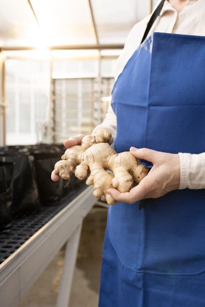 Woman holding a piece of ginger in a lab