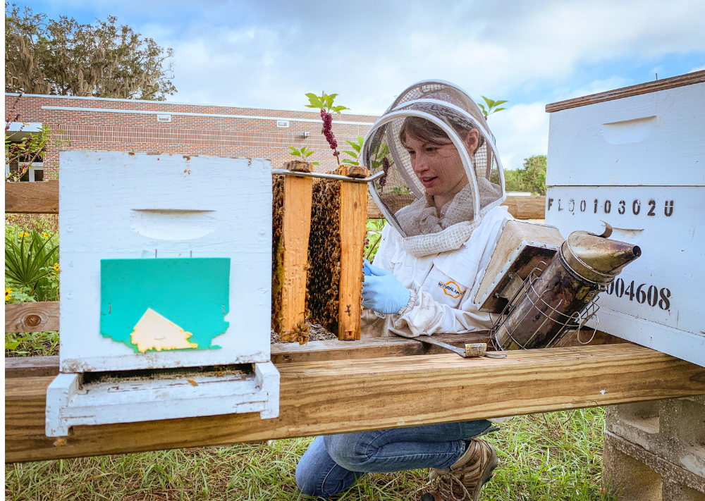 Lady with bees