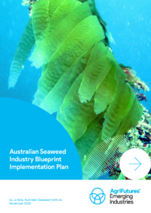 Close-up of green seaweed underwater with blue water in the background. Text overlays promote the Australian Seaweed Industry Blueprint Implementation Plan, highlighting research and development in Australia’s growing seaweed sector.
