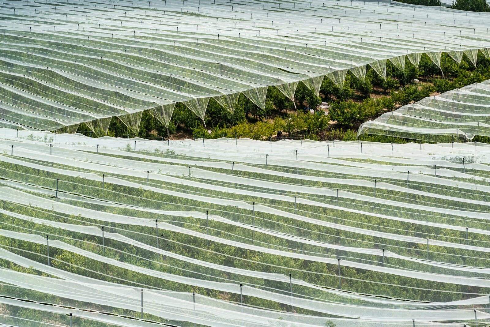 PreFarm Gate Waste Program AgriFutures Australia