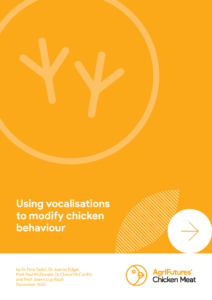 Cover of "Using vocalisations to modify chicken behaviour" report with stylized chicken feet icons, authors' names, and AgriFutures Chicken Meat logo on orange, showcasing poultry research and rural development in Australia.