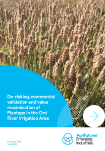 Close-up of mature Plantago in a sunlit rural Australian field. Blue and white cover text: De-risking, commercial validation and value maximisation of Plantago in the Ord River Irrigation Area. AgriFutures Emerging Industries logo appears.