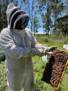 Beekeeper Murray Arkadieff - Murray_searching for propolis on the live hive