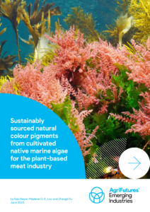 A vibrant underwater scene of pink and green marine algae with rocks. Text overlay: "Sustainably sourced natural colour pigments from cultivated native marine algae for the plant-based meat industry." AgriFutures Emerging Industries logo, author credits bottom.
