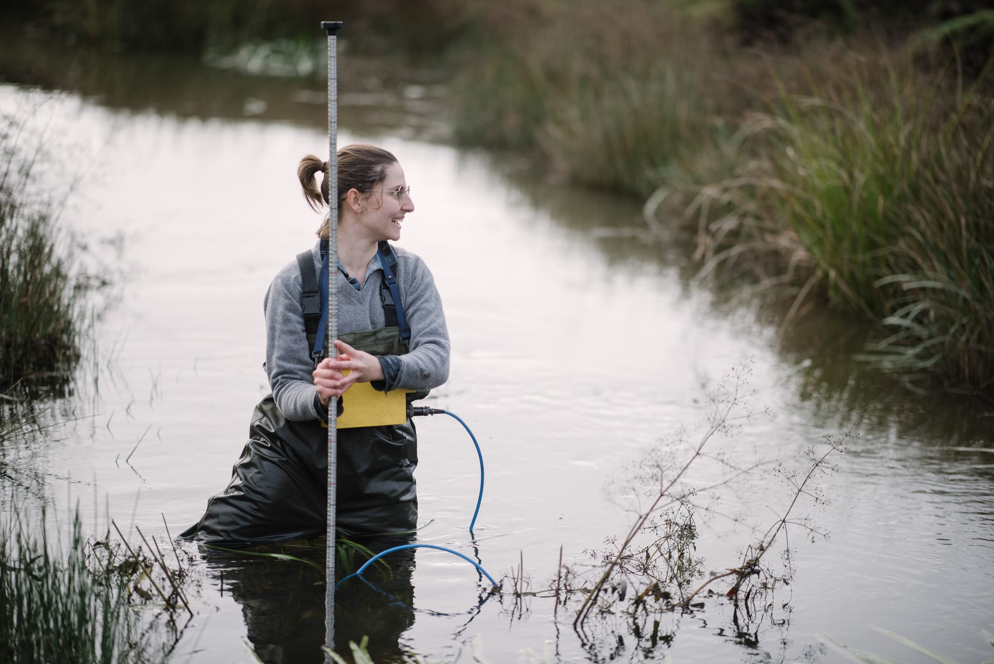 Discovery of freshwater plant and algae with methanereducing
