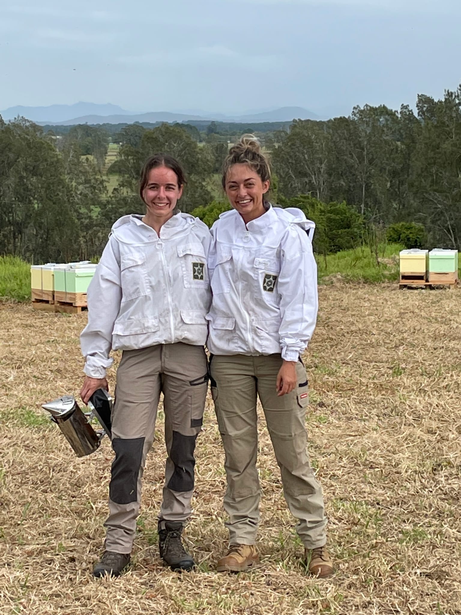 Supplementary feeding of honey bees in the spotlight AgriFutures Australia