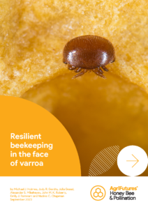 Close-up of a brown varroa mite on yellow honeycomb. Text: “Resilient beekeeping in the face of varroa” with AgriFutures Honey Bee & Pollination logo and author details below.