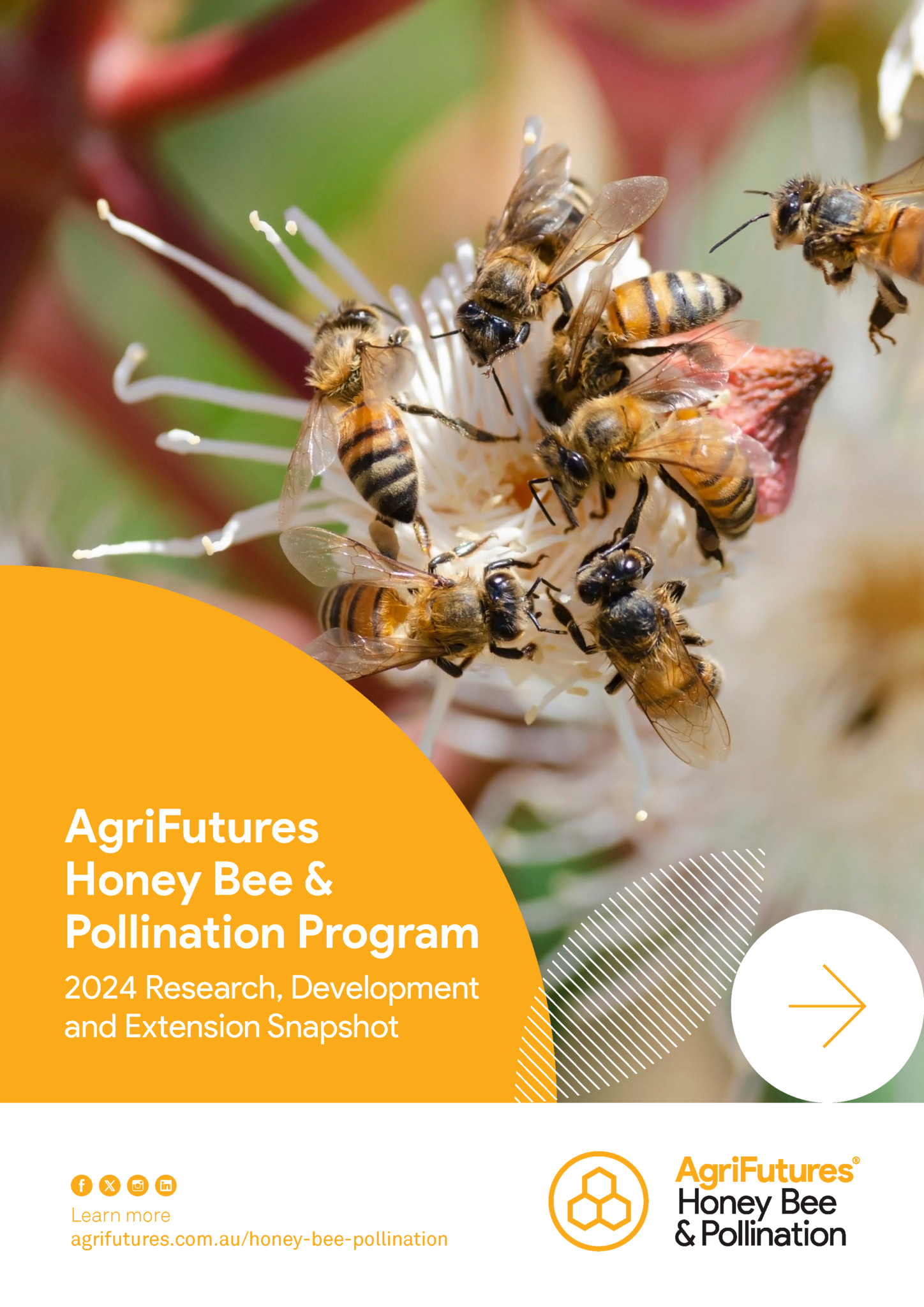 AgriFutures Honey Bee & Pollination Program 2024 RD&E Snapshot ...