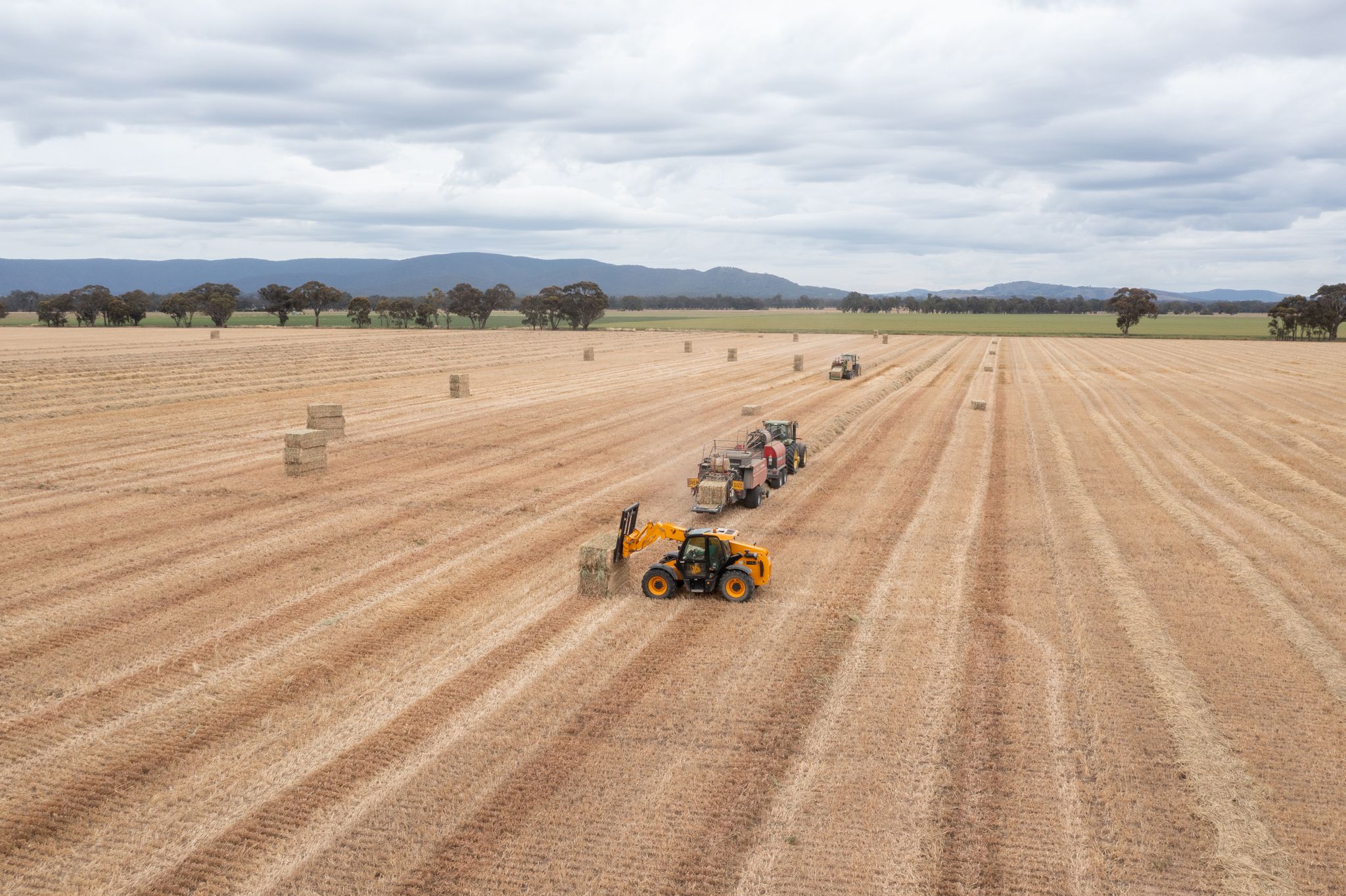 Sensing oaten hay quality from above | AgriFutures Australia