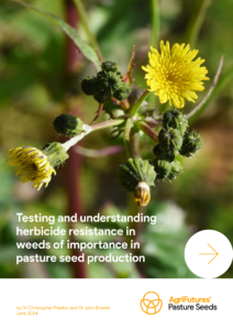 Close-up of a yellow flower with buds and green stems. Overlaid text highlights the project "Testing and understanding herbicide resistance in weeds of importance in pasture seed production." AgriFutures Pasture Seeds logo and June 2024 date are at the bottom.