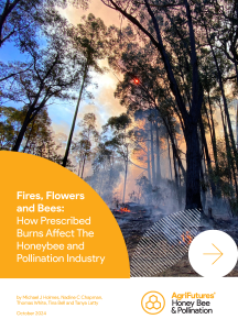 A forest at sunset in rural Australia shows smoke and orange flames from a prescribed burn among tall trees. In front, a yellow info panel about "Fires, Flowers and Bees" explains prescribed burns' impact on honeybees, by AgriFutures.