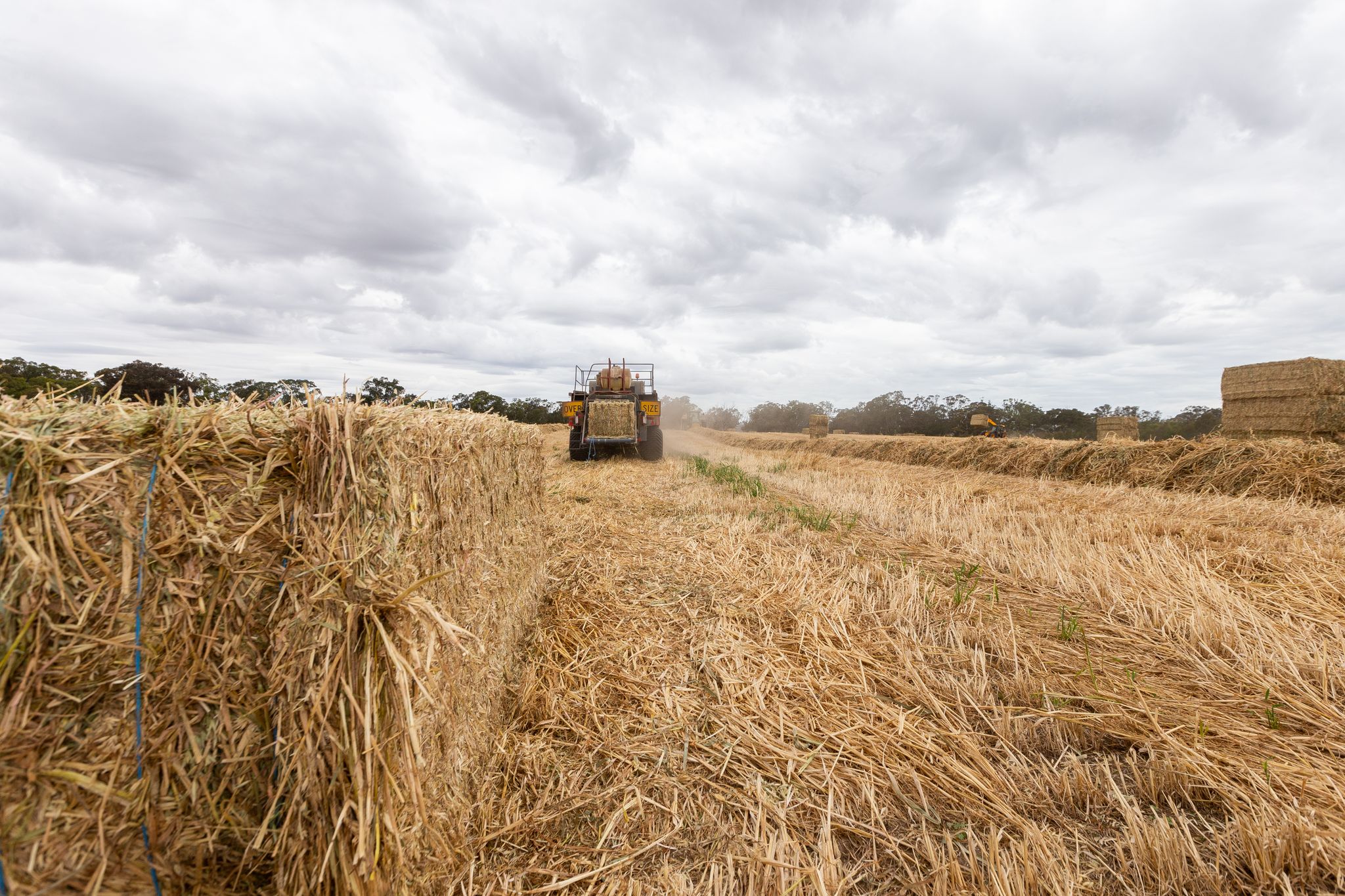 AFIA National Fodder Conference