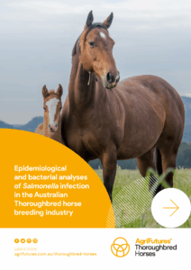 A brown adult horse and foal stand in a grassy field with hills behind. Text discusses the impact of Salmonella on Thoroughbred horse development in rural Australia. The AgriFutures Thoroughbred Horses logo appears bottom right, referencing the product titled "Epidemiological and bacterial analyses of Salmonella infection in the Australian Thoroughbred horse breeding industry.