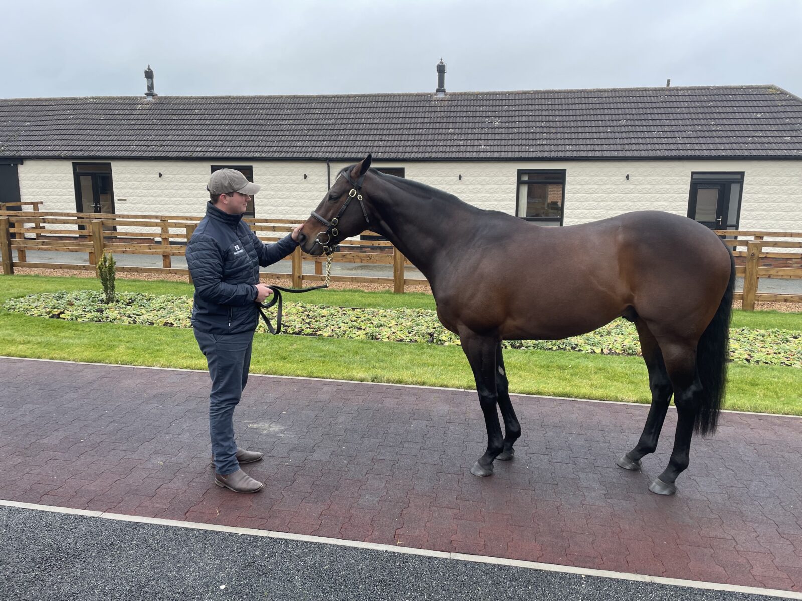 Basil Nolan with Thoroughbred horse at Newmarket in the UK - part of the AgriFutures Thoroughbred Horses Program Les Young Scholarship