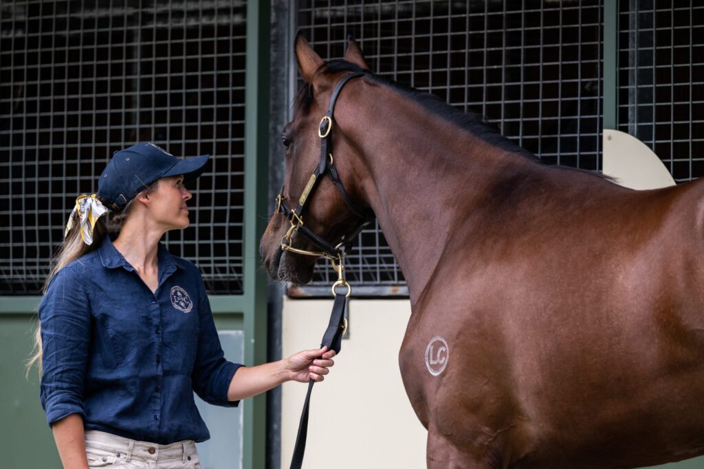 Young woman with Thoroughbred horse