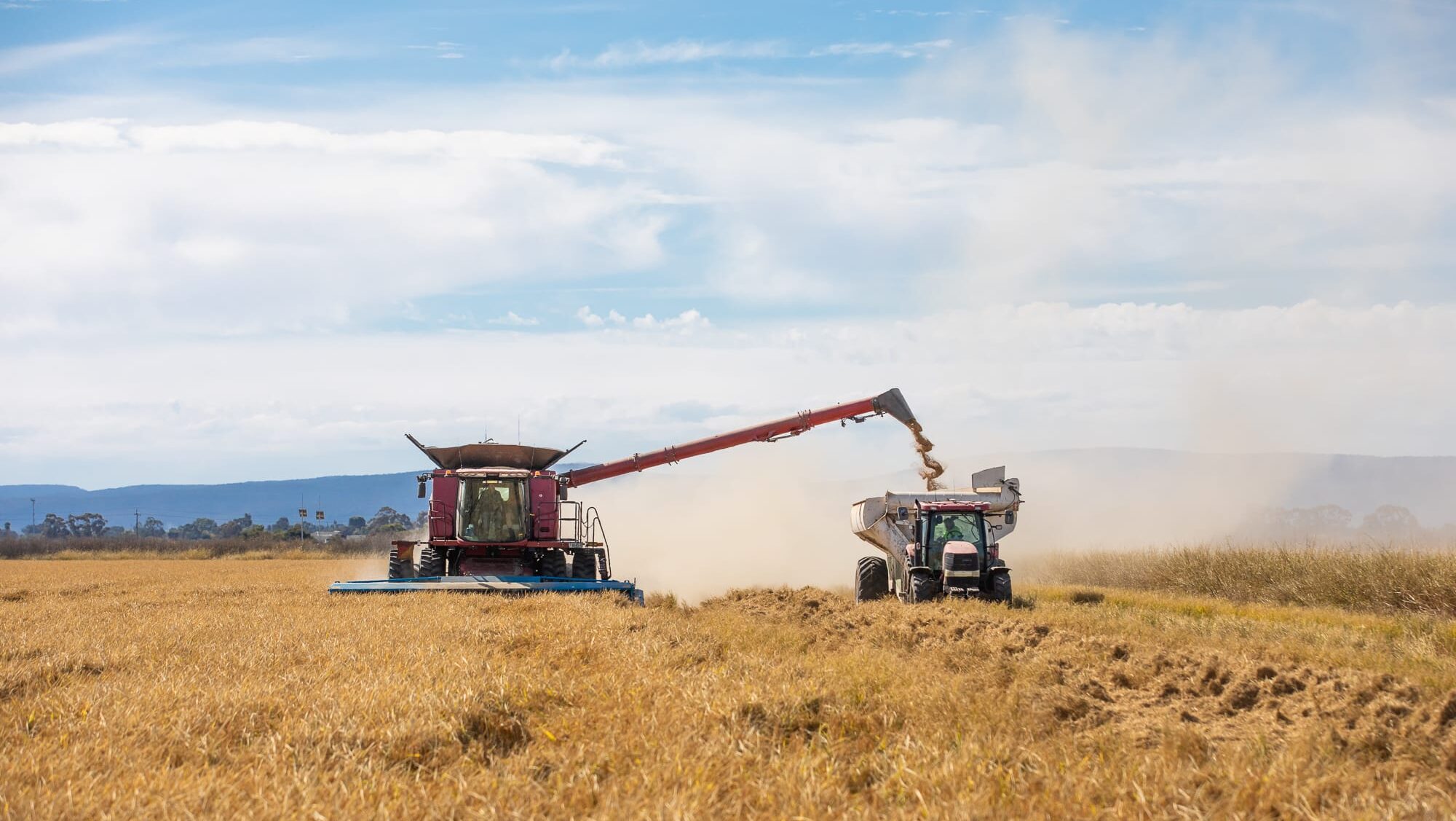 AgriFutures Australia to support National Food Supply Chain Assessment