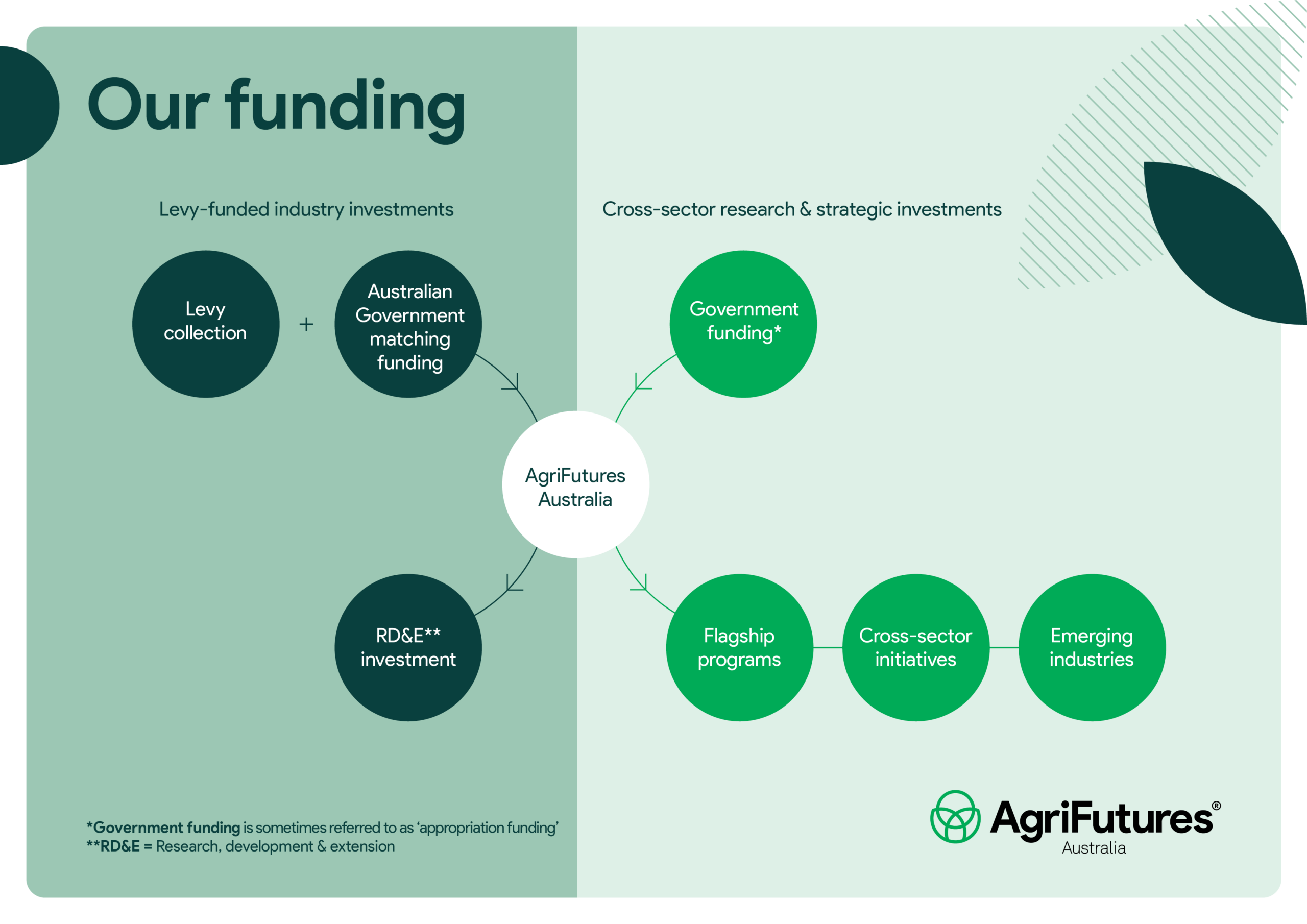 Infographic titled 'Our funding' by AgriFutures Australia, showing how two distinct funding streams flow into the organisation and are allocated to different investment areas. The background is split into two sections: a darker sage green on the left representing 'Levy-funded industry investments' and a lighter sage green on the right representing 'Cross-sector research & strategic investments,' with subtle diagonal hatched lines as a decorative element in the top-right area and a dark green leaf shape in the top-right corner. On the left side, two dark charcoal-green circles labelled 'Levy collection' and 'Australian Government matching funding' are joined by a plus sign, with lines flowing down into a central white circle labelled 'AgriFutures Australia.' On the right side, a bright green circle labelled 'Government funding*' also flows down into the same central AgriFutures Australia circle. From the central circle, the flow splits downward into two paths. To the bottom left, a single dark charcoal-green circle reads 'RD&E** investment,' representing the output of levy-funded industry investments. To the bottom right, a branching line connects to three bright green circles in a row labelled 'Flagship programs,' 'Cross-sector initiatives,' and 'Emerging industries,' representing the outputs of cross-sector research and strategic investments. Two footnotes appear at the bottom left: '*Government funding is sometimes referred to as 'appropriation funding'' and '**RD&E = Research, development & extension.' The AgriFutures Australia logo appears in the bottom-right corner.