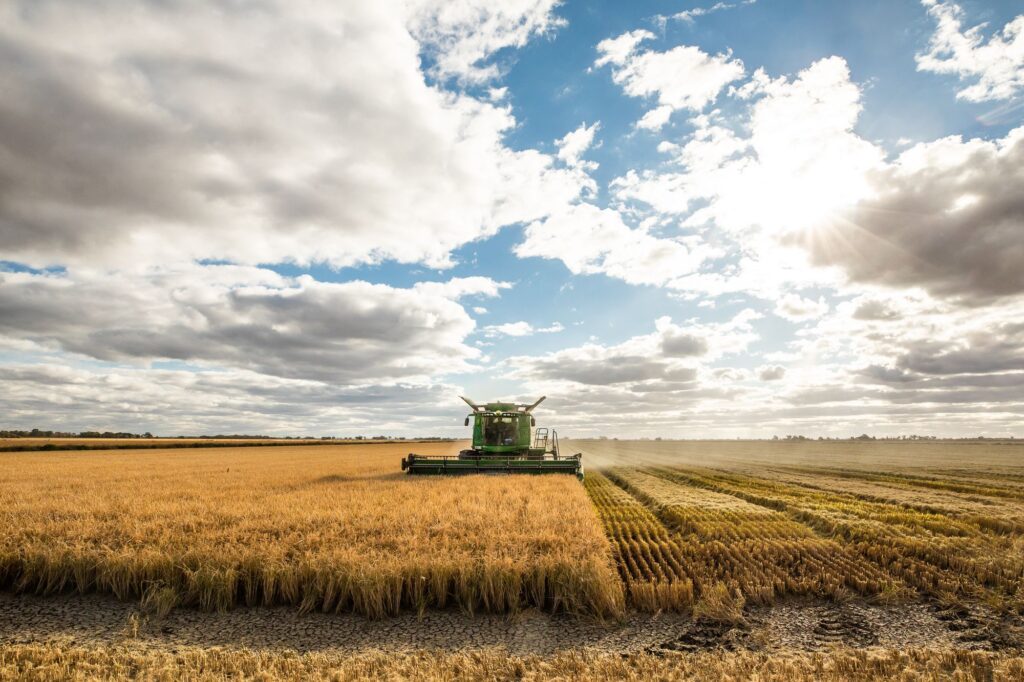 A large green combine harvester works in a golden rice field under a partly cloudy sky, with sunlight streaming through the clouds—a scene reflecting the innovation inspired by the AgriFutures Rice RD&E Plan 2027-2032.