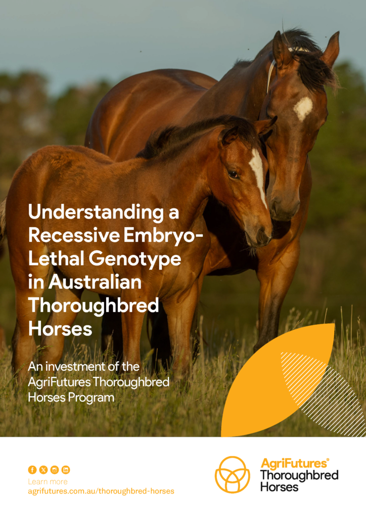 Two brown thoroughbred horses, an adult and a foal, stand together in a grassy field. Text discusses the AgriFutures project "Understanding a Recessive Embryo-Lethal Genotype in Australian Thoroughbred Horses." AgriFutures logo appears.