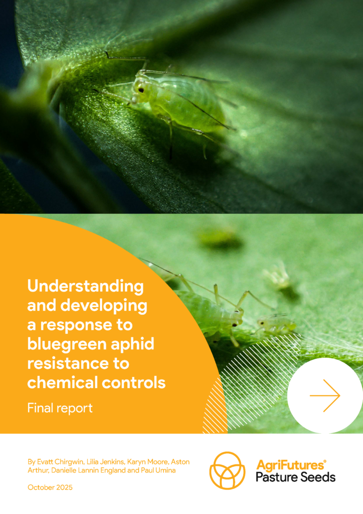 Close-up of blue-green aphids on a green leaf, overlaid with the title "Report: Understanding and developing a response to blue-green aphid chemical resistance." The AgriFutures Pasture Seeds logo and authors appear at the bottom.