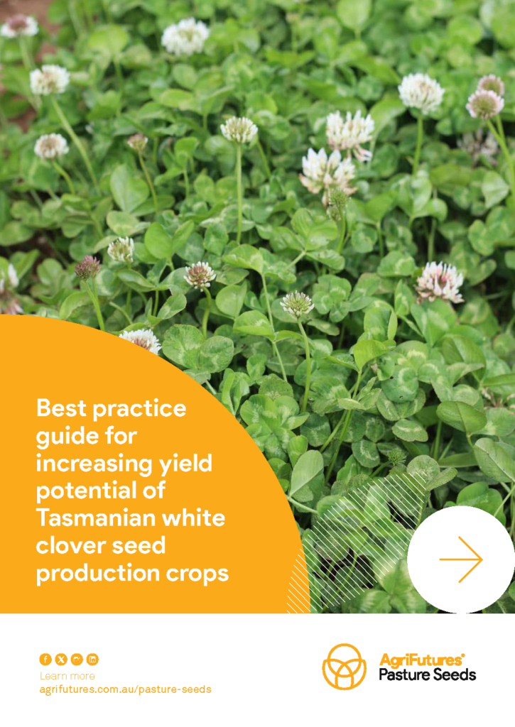 Close-up of lush green white clover with flowers. An orange and white overlay features the product name: Best practice guide for increasing yield potential of Tasmanian white clover seed production crops. AgriFutures logo visible.
