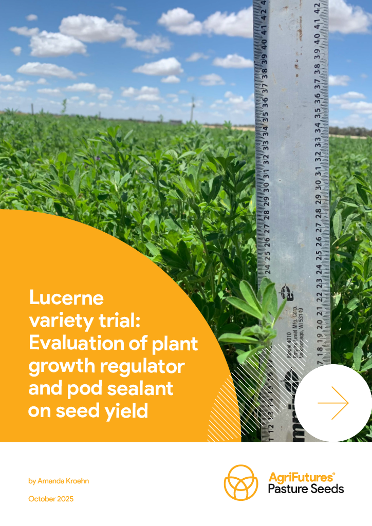 A metal ruler stands upright among green lucerne in a field under blue sky. The image features the title “Lucerne Variety Trial: Evaluation of plant growth regulator and pod sealant on seed yield.”.