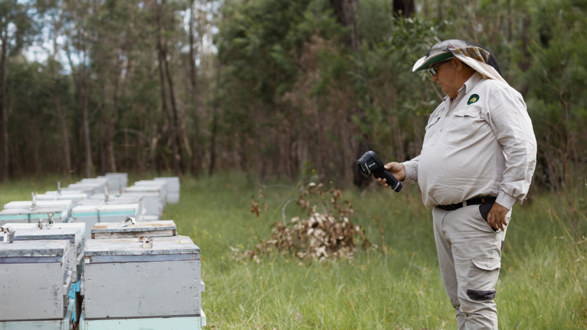 A person in protective gear holds equipment while standing near multiple beehive boxes in a grassy, wooded area.