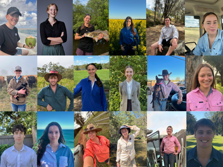 News and event image for Supporting the next wave of industry-led agricultural leaders through the 2026 AgriFutures Horizon Scholarship