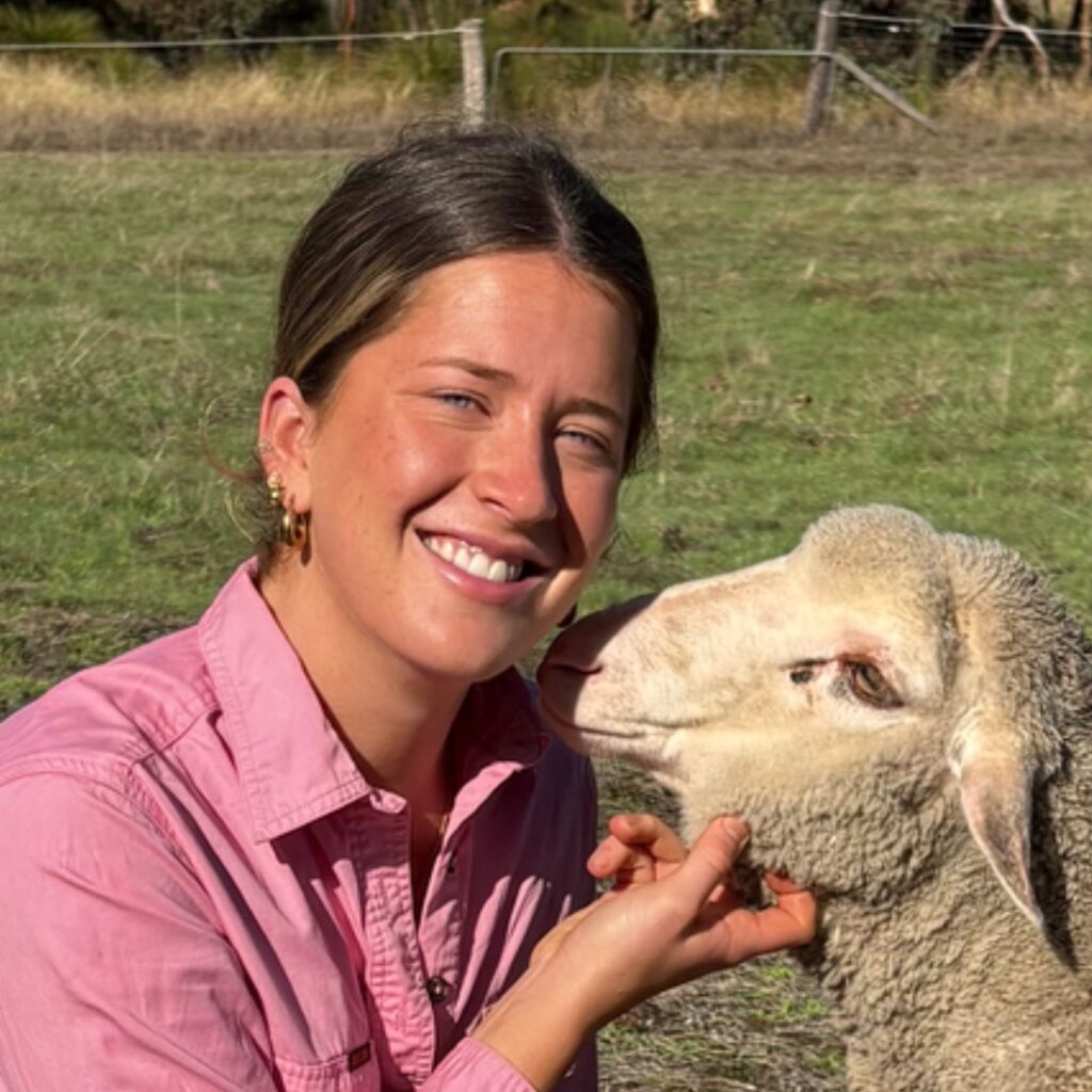 A woman in a pink shirt smiles whilst a sheep affectionately licks her face in a sunny outdoor field.