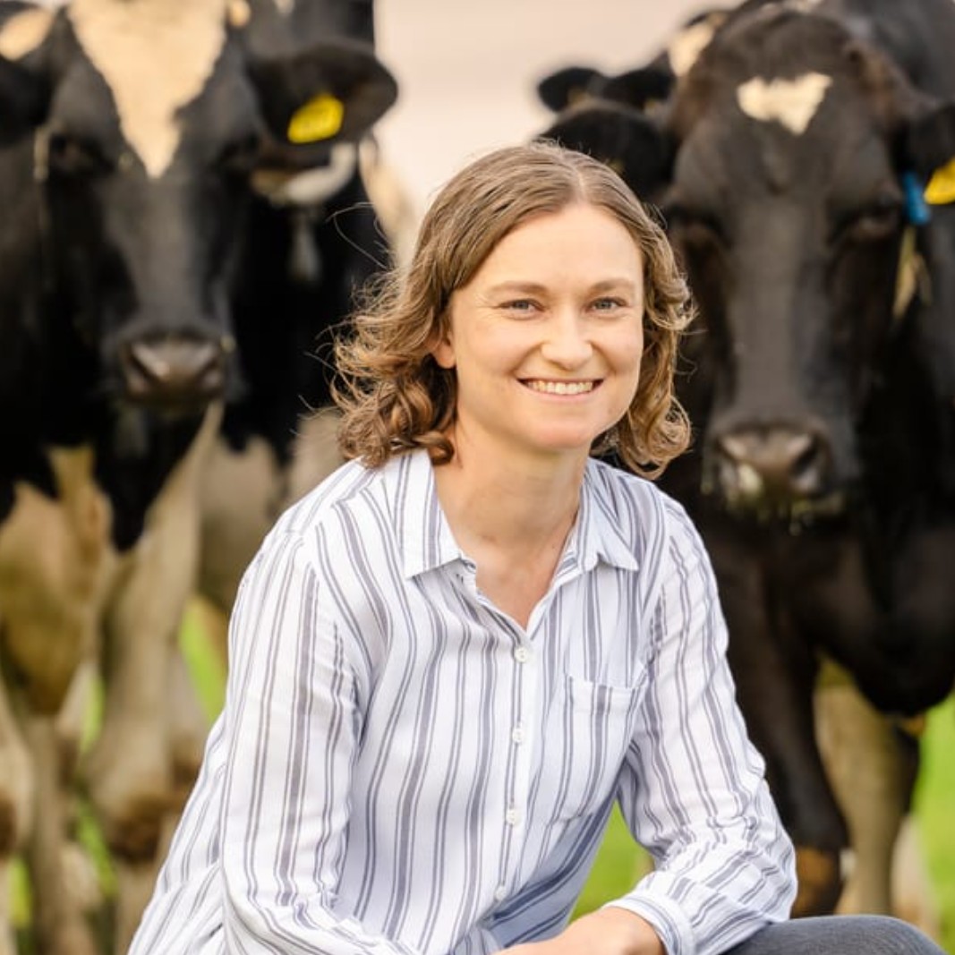 A woman with wavy brown hair wearing a white and blue striped shirt smiles at the camera while kneeling in front of two black and white dairy cows in a grassy outdoor setting.