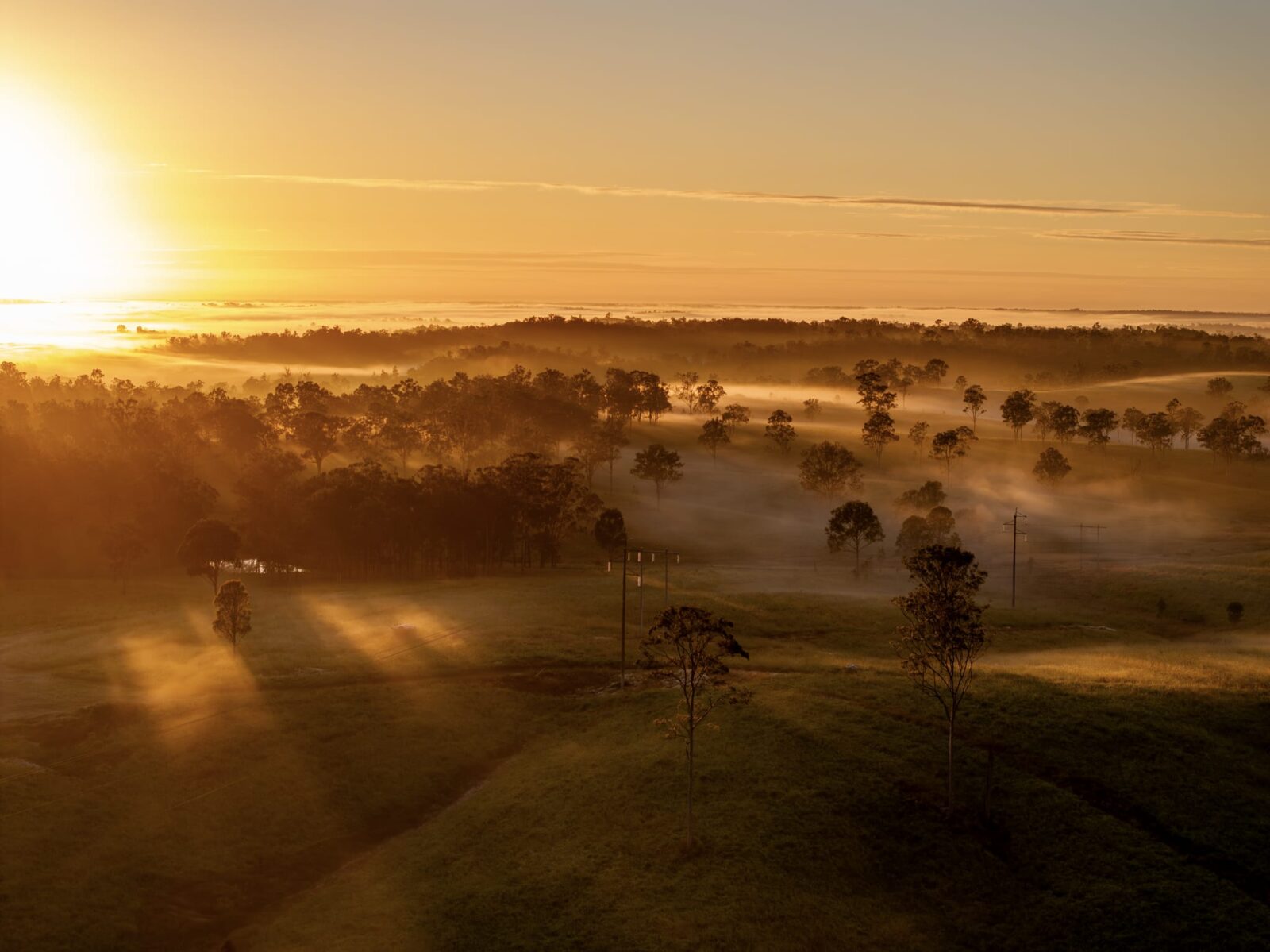 Golden sunlight streams over a misty rural landscape at sunrise, illuminating rolling green hills and scattered trees with soft, warm light whilst low fog drifts through the scene.