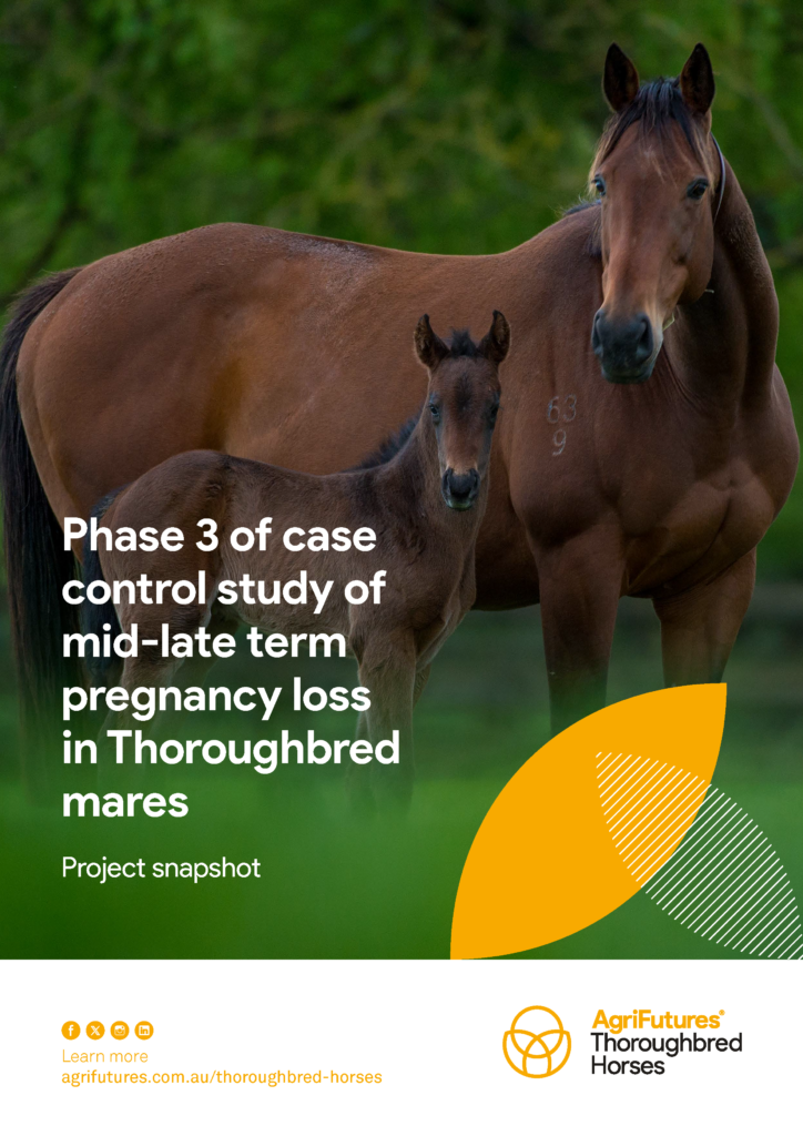 A brown Thoroughbred mare and her foal stand on green grass. Text reads, “Project snapshot: Phase 3 of case-control study of mid-late term pregnancy loss in Thoroughbred mares.” AgriFutures logo and website appear below.