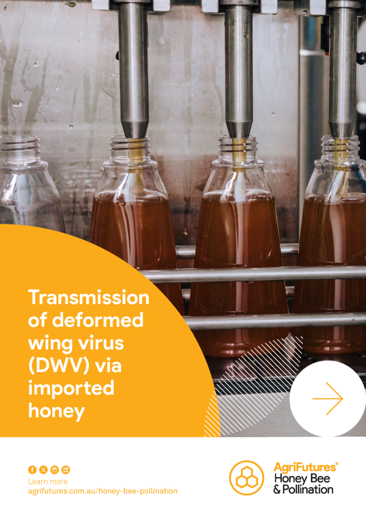 Three bottles being filled with honey on a production line. Text overlay reads: “Report: Transmission of deformed wing virus (DWV) via imported honey.” AgriFutures Honey Bee & Pollination logo appears at the bottom.
