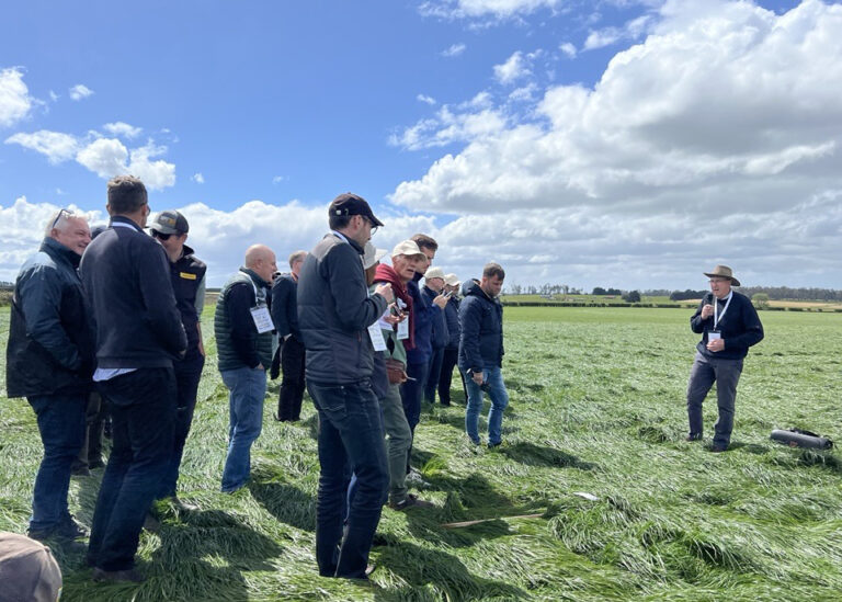 News and event image for From global research to paddock practice: Sam and Lachlan share key insights from IHSG